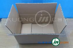 thung-carton-004-
