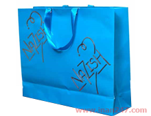Gift Paper Bags-T02